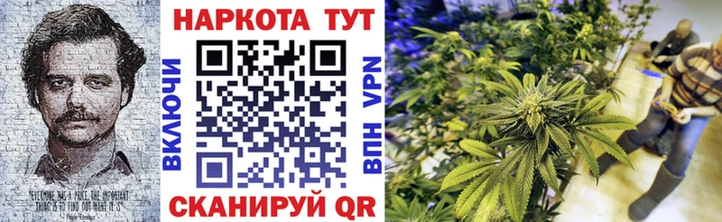Виды наркоты Мурино КОКАИН  АМФЕТАМИН  Бошки Шишки  Гашиш 