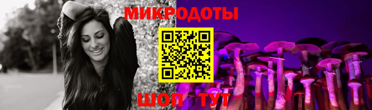 Галлюциногенные грибы Psilocybe  где найти наркотики  Мурино  Вход с VPN 