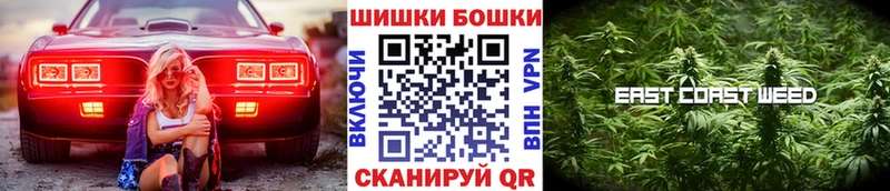 kraken как зайти  Мурино  Каннабис планчик 