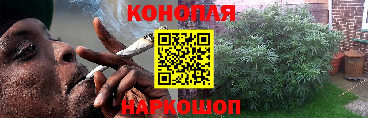 Конопля Amnesia  Каннабис план  Бошки марихуана планчик  Вход с VPN  Мурино 