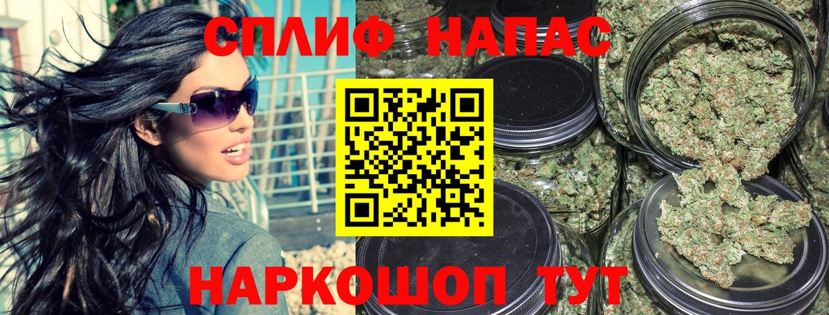 Канабис семена Мурино